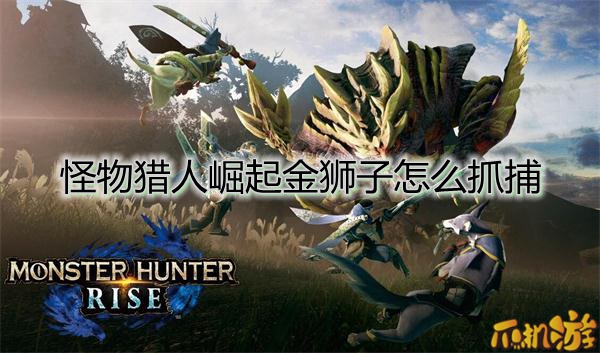 怪物猎人崛起金狮子.jpg